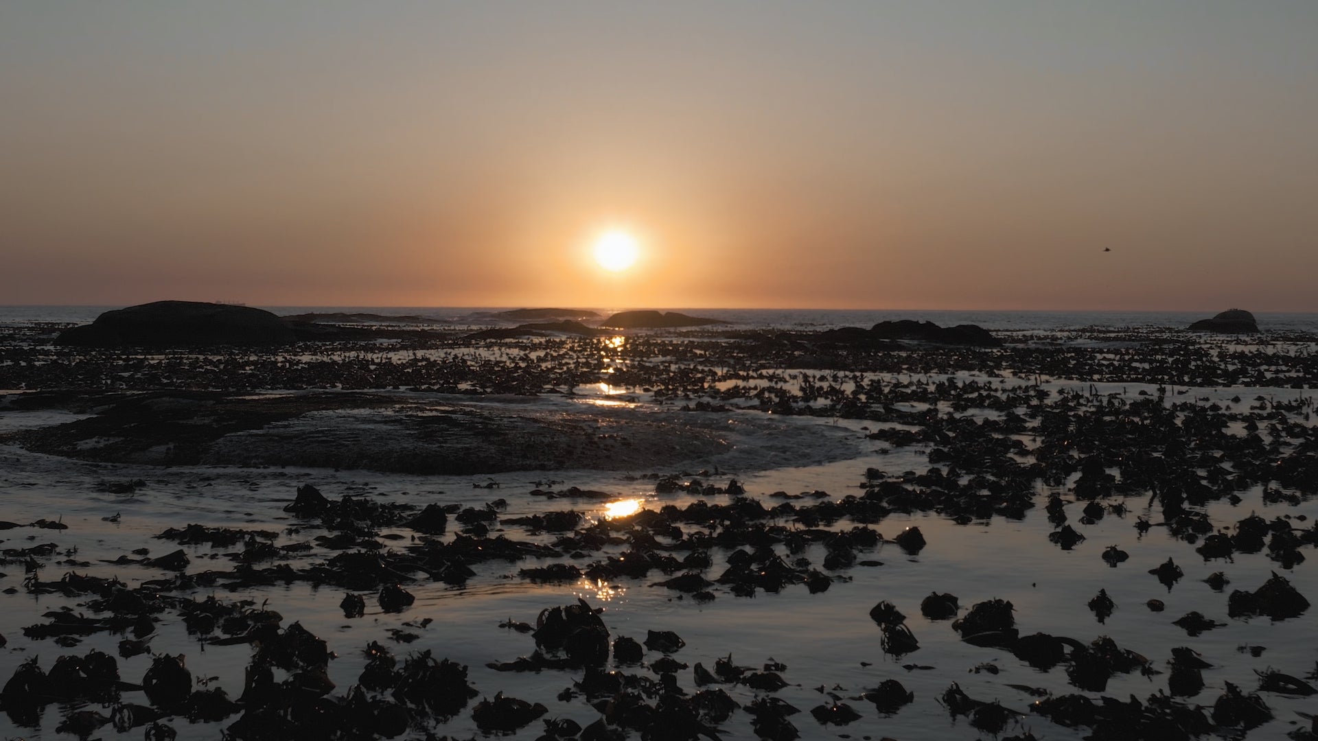 SUN FIXER M2 - LUTs & Tools Set - Advanced repair for blown out yellow highlight sun flares