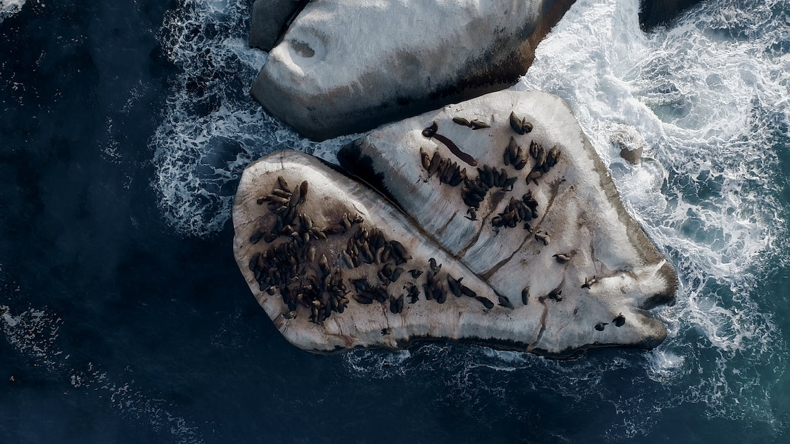 DJI Mavic Air 2 LUT LUTs pack bundle