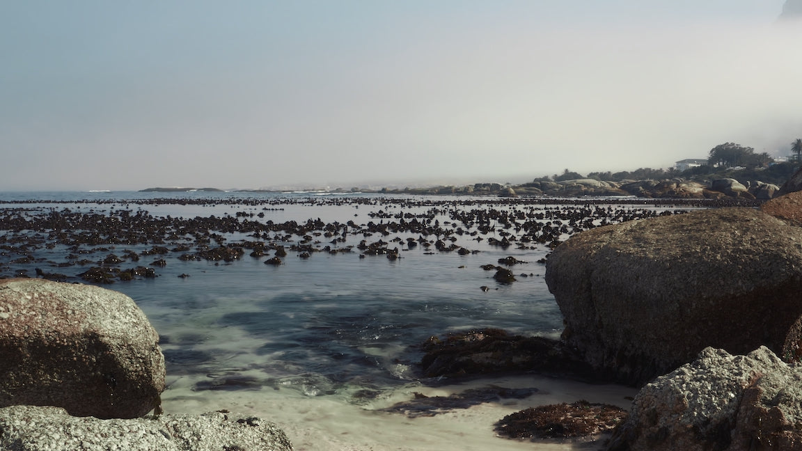 DJI Mavic Air 2 LUT LUTs pack bundle