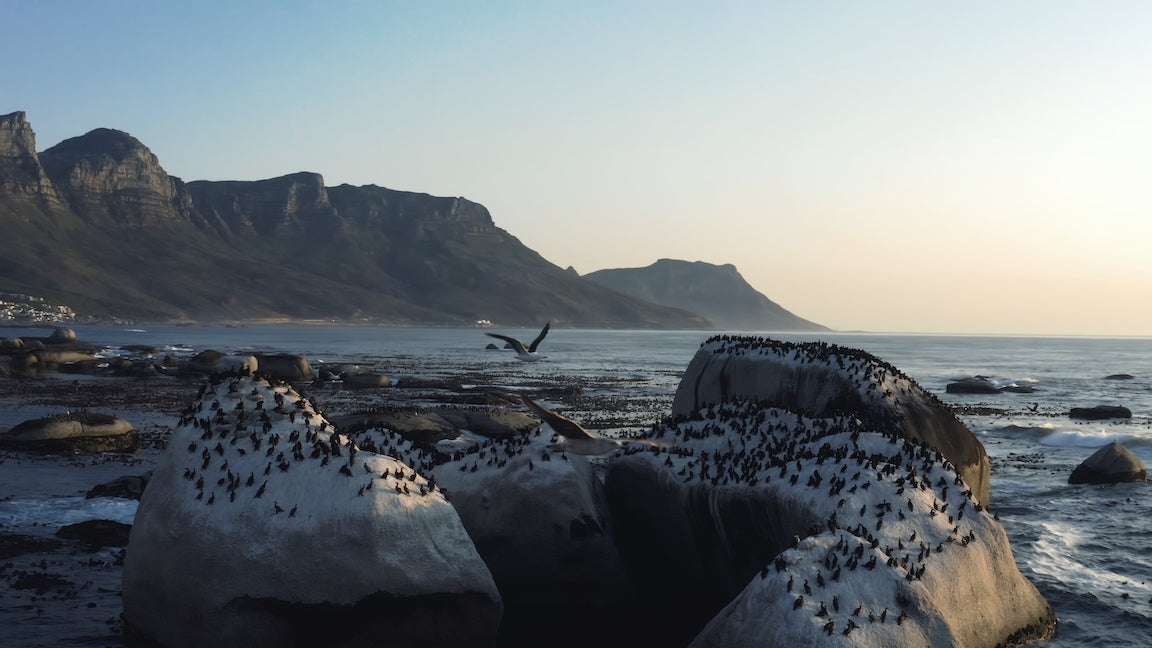 DJI Mavic Air 2 LUT LUTs pack bundle