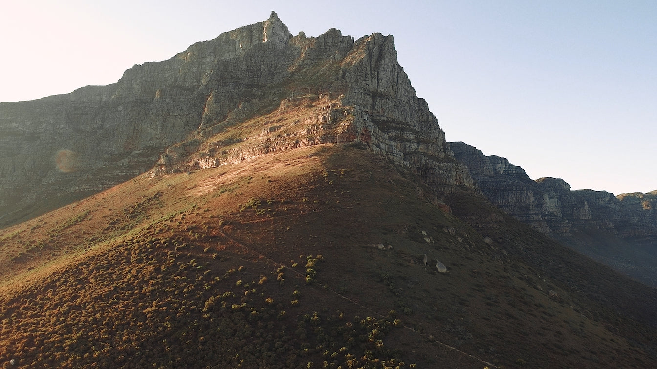 Dji MAVIC MINI LUTs CINE COLLECTION
