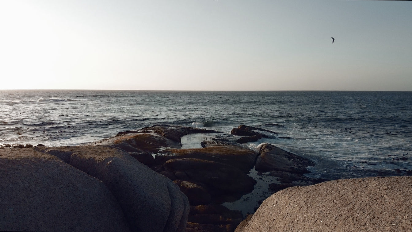 Dji MAVIC MINI LUTs CINE COLLECTION