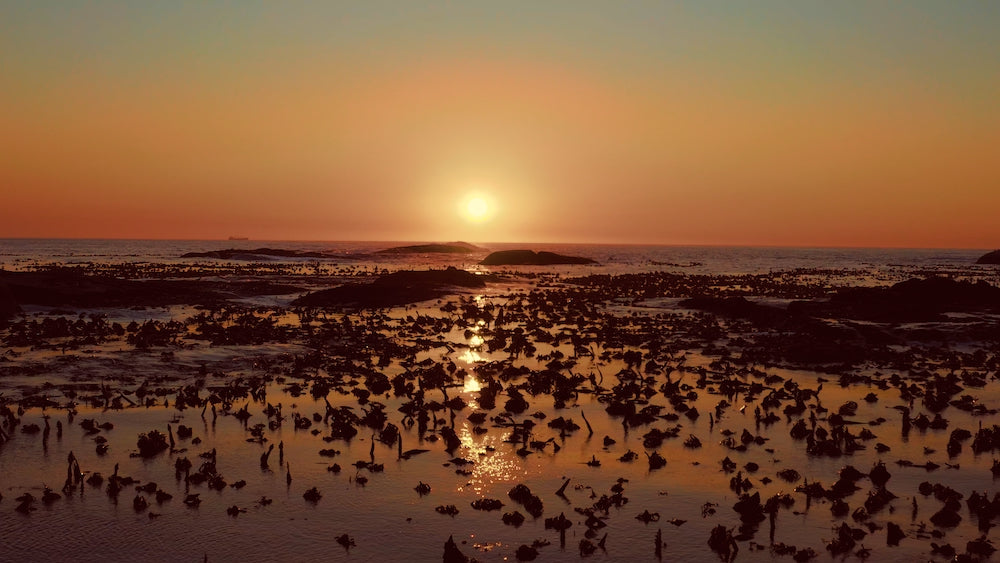 Chroma Collection M2 - Dji Mavic 2 Pro LUTs & Tools Set - GAMMA M2, VISiON M2, PURE, SUN FIXER